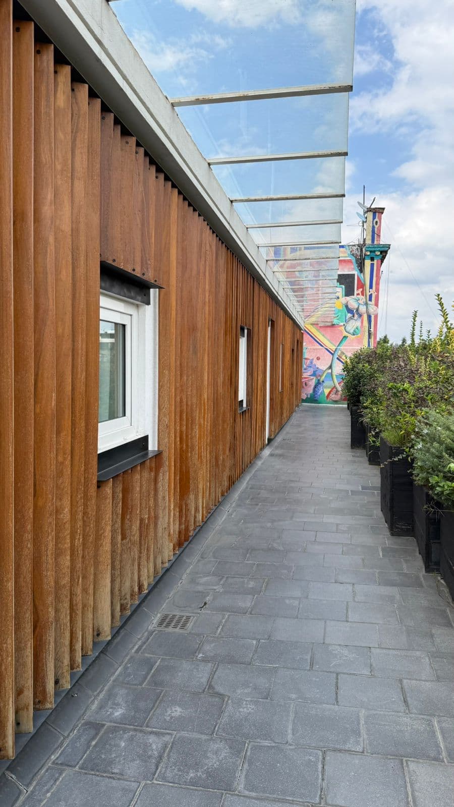 Chilango BnB  imagen 13